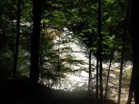 Yatesville Falls State Forest Montgomery Ny 5-30-2016_00010.JPG