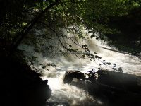 Yatesville Falls State Forest Montgomery Ny 5-30-2016_00013.JPG