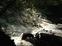 Yatesville Falls State Forest Montgomery Ny 5-30-2016_00014.JPG