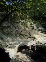 Yatesville Falls State Forest Montgomery Ny 5-30-2016_00015.JPG