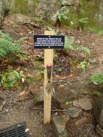Herkimer Big Moose Community Chapel 6-27-2016_00002.JPG