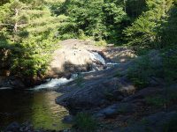 Lewis Soft Maple Scenic Overlook Falls 6-24-2016_00002.JPG