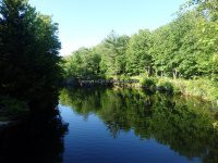 Lewis Soft Maple Reservoir Dam 6-24-2016_00001.JPG