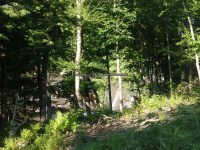 Lewis Soft Maple Reservoir Dam 6-24-2016_00005.JPG