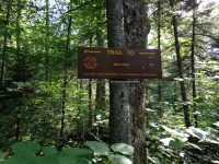Herkimer West Pond Outlet, Waterfall 6-27-2016_00005.JPG