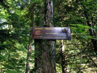 Herkimer West Pond Outlet, Waterfall 6-27-2016_00012.JPG