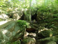 Herkimer West Pond Outlet, Waterfall 6-27-2016_00013.JPG