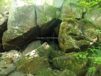 Herkimer West Pond Outlet, Waterfall 6-27-2016_00016.JPG