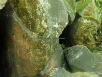 Herkimer West Pond Outlet, Waterfall 6-27-2016_00018.JPG