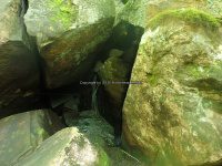 Herkimer West Pond Outlet, Waterfall 6-27-2016_00019.JPG
