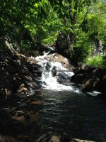 Herkimer Shallow Pond Outlet falls on 6-25-2016_00002.JPG