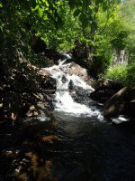 Herkimer Shallow Pond Outlet falls on 6-25-2016_00003.JPG
