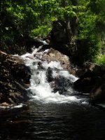 Herkimer Shallow Pond Outlet falls on 6-25-2016_00005.JPG