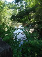 Herkimer Shallow Pond Outlet falls on 6-25-2016_00010.JPG