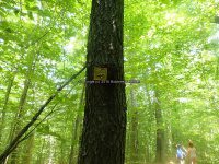 Lewis Kilbourn Falls 6-26-2016_00003.JPG
