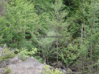 Lewis Eagle Falls Upper Section 6-29-2016_00007.JPG