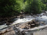 Lewis Eagle Falls Lower Section 6-29-2016_00008.JPG
