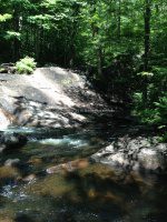 Herkimer Kettle Hole Falls 6-25-2016_00025.JPG