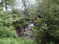 Herkimer Twitchell Creek Falls 6-27-2016_00008.JPG