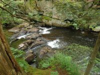 Herkimer Twitchell Creek Falls 6-27-2016_00015.JPG