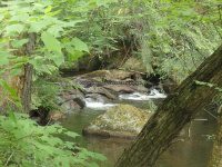 Herkimer Twitchell Creek Falls 6-27-2016_00016.JPG
