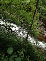 Herkimer Twitchell Creek Falls 6-27-2016_00026.JPG