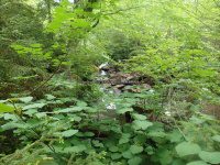 Herkimer Twitchell Creek Falls 6-27-2016_00036.JPG