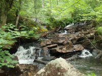 Herkimer Twitchell Creek Falls 6-27-2016_00039.JPG