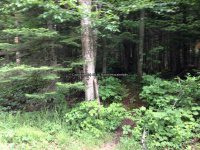 Herkimer Twitchell Creek Falls 6-27-2016_00040.JPG