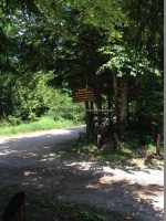 Herkimer Moshier Falls Lower Section 6-28-2016_00002.JPG