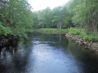 Herkimer Moshier Falls Lower Section 6-28-2016_00016.JPG