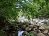 Herkimer Moshier Falls Lower Section 6-28-2016_00069.JPG