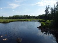 Herkimer Jakes Pond Trail Falls 6-26-2016_00014.JPG