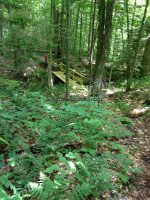 Herkimer Stillwater Mtn Fire Tower 6-28-2016_00007.JPG