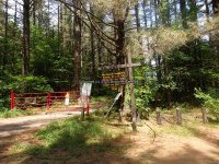 Lewis Bisha Falls Parking 6-26-2016_00001.JPG