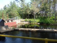 Lewis Effley Falls 6-26-2016_00002.JPG