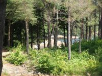Lewis Effley Falls 6-26-2016_00004.JPG