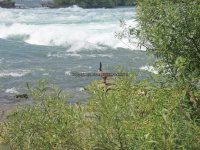 Horseshoe Rapids 7-6-2016_00022.JPG