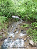 FOXES FALLS HERKIMER COUNTY CENTRAL NEW YORK 5-26-2013_00001.JPG