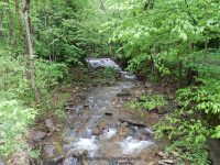 FOXES FALLS HERKIMER COUNTY CENTRAL NEW YORK 5-26-2013_00002.JPG