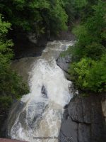 KRUMS FALLS SCHOHARIE COUNTY EASTERN NEW YORK 5-26-2013_00002.JPG