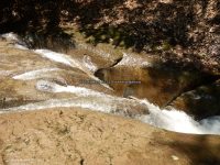 BATHTUB FALLS ONONADAGA COUNTY CENTRAL NEW YORK 6-24-2013_00001.JPG