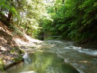 BATHTUB FALLS ONONADAGA COUNTY CENTRAL NEW YORK 6-24-2013_00009.JPG