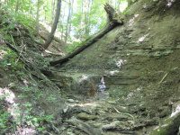 Mt Hope Reservior Madison Central NY 7-1-2012_00002.JPG