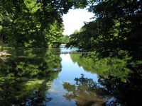 Mt Hope Reservior Madison Central NY 7-1-2012_00020.JPG