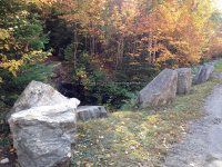 IMG_0782.JPG