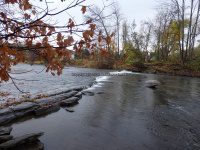 SANDY CREEK FALLS (ADAMS) 10-25-2014_00001.JPG