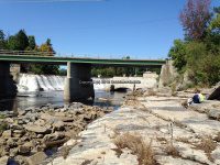 P9030556 IMG_6230.JPG