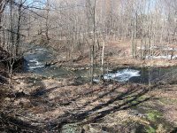 LORRAINE JEFFERSON COUNTY NORTHERN NEW YORK 4-13-2009_00001.jpg