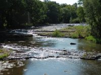 HONEOYE CREEK LEDGES LIVINGSTON COUNTY WESTERN NEW YORK 8-12-2013_00004.JPG